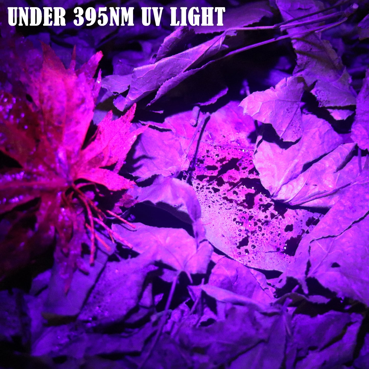 B2 Blood Tracking Light Deer Trail Tracker Flashlight